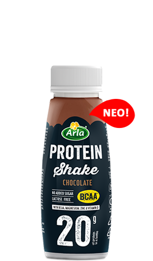Shake Chocolate BCAA 250 ml