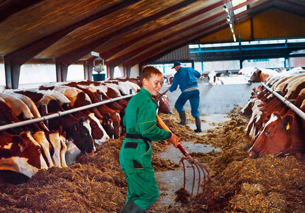 Πρόγραμμα διασφάλισης ποιότητας Arlagården® για φάρμες 