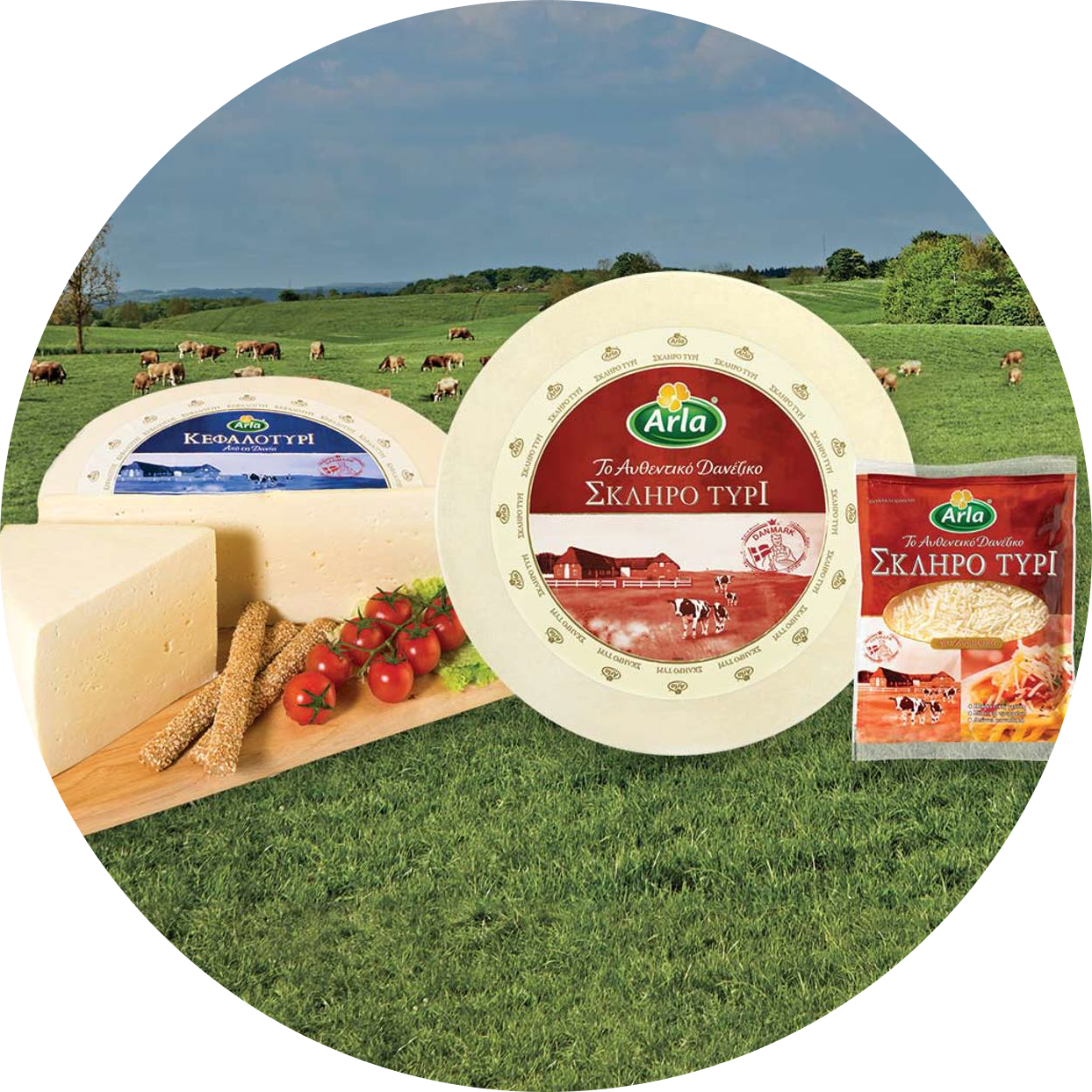 Arla αυθεντικα δανεζικα τυρια