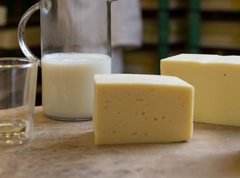 Η ΠΡΟΕΛΕΥΣΗ ΤΟΥ ΤΥΡΙΟΥ HAVARTI