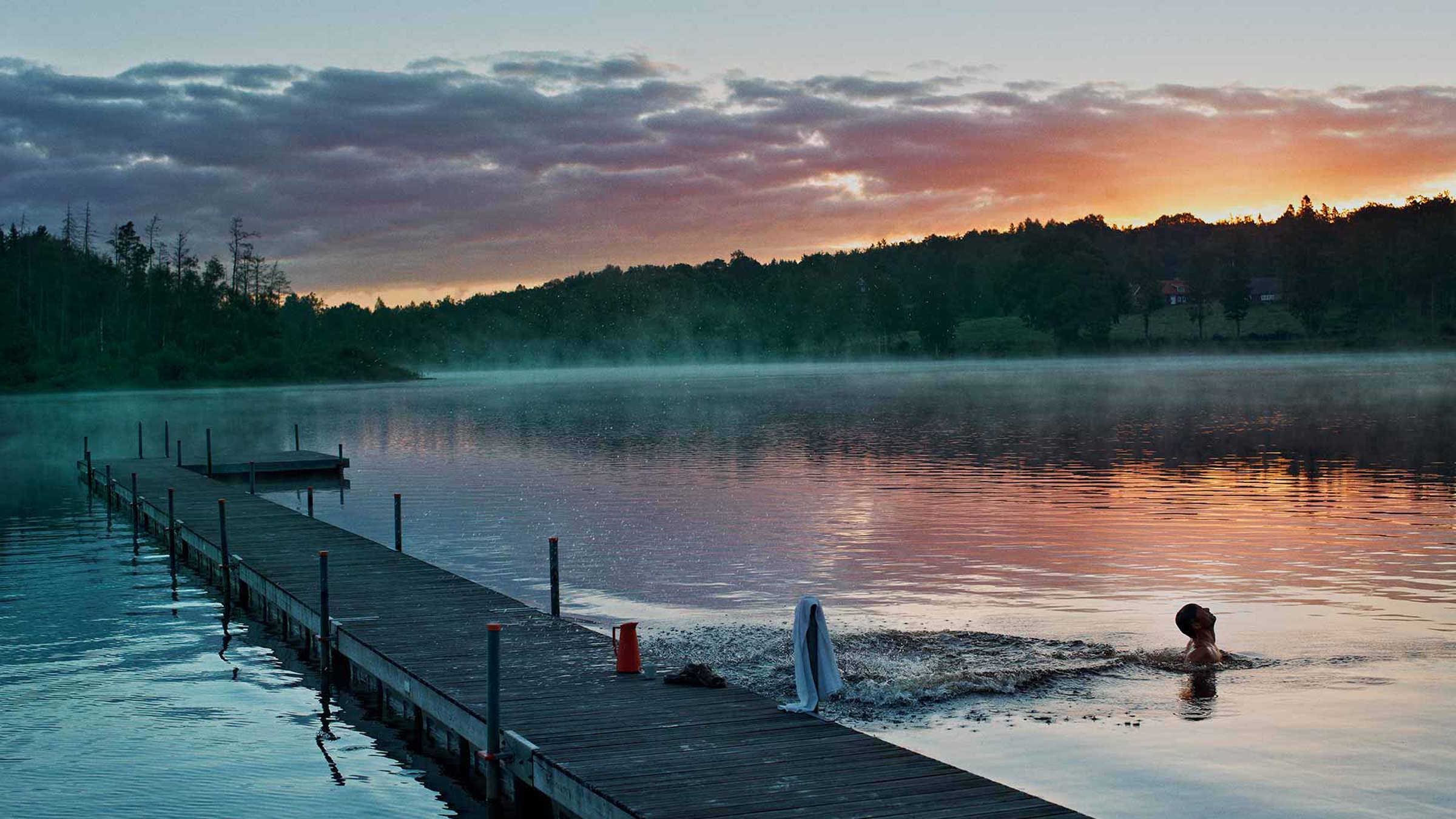 arla οι μάρκες μας, lurpak, arla, arla lactofree, arla protein, arla αυθεντικα δανέζικα τυριά, castello, arla κρέμα γάλακτος, cocio, starbucks, arla foodsetvice